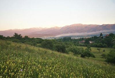 Spațiu comercial, în Bradu - 4