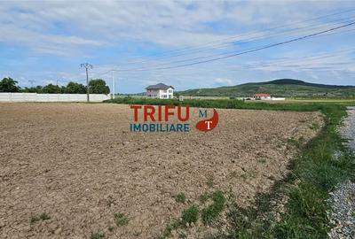 Teren de 2000 mp, în Ighiu - 5