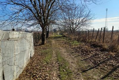 STR.ASTRELOR-TEREN INTRAVILAN-1184mp STR.ASTRELOR-TEREN INTRAVILAN-1184mp - 4