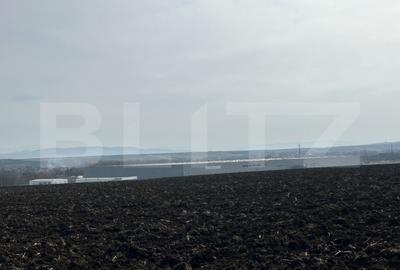 Teren de 15000 mp, în Sântuhalm - 4