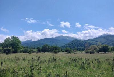 Teren de 1000 mp, în Drăguș - 1