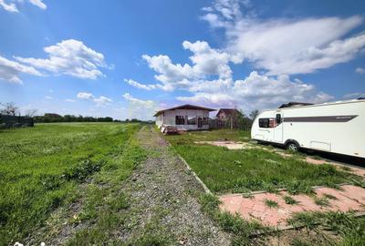 Teren de 1700 mp, în Cernica - 15