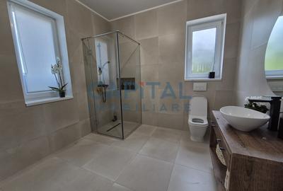 Casa superba la cheie, panouri fotovoltaice, central Dezmir - 11