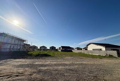 Spațiu comercial, în Moșnița Nouă - 3