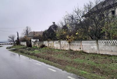 Spațiu comercial, în Ostrovu Corbului - 5