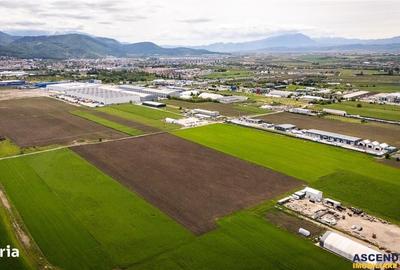 Spațiu comercial, în Griviței - 4