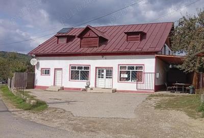 Spa?iu comercial de inchiriat - Voroveni, Davide?ti. - 3