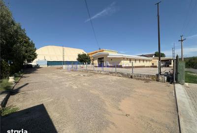 Spațiu comercial, de 334 mp, în Valea Lupului - 6
