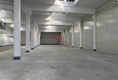 Spațiu comercial, de 700 mp, în Jilava - 8
