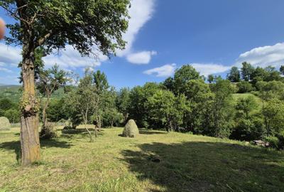 Teren de 2900 mp, în Secăria - 4