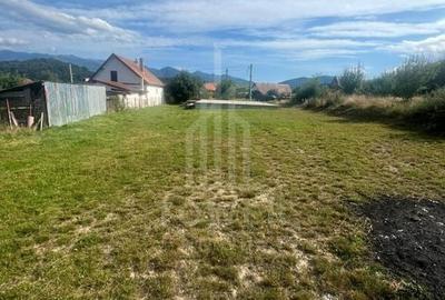 Teren de vânzare în exclusivitate - Tălmaciu - 4