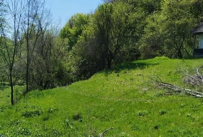 Teren de 7795 mp, în Golești - 11