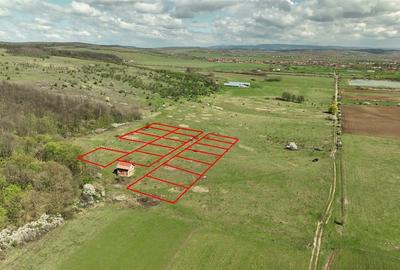 Teren Construcții intravilan de 400 mp, în Ineu - 4