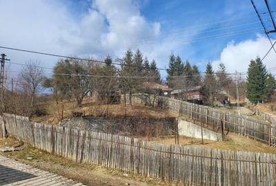 Proprietar 2 terenuri in Breaza, pretabile constructie casa 1600mp - 10