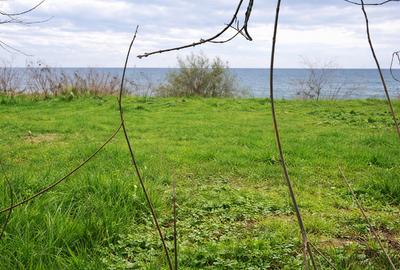 Teren de vânzare – Constanța, Casa Casatoriilor, str. Mihai Eminescu – 1000 mp - 2