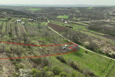 Teren Construcții intravilan de 4150 mp, în Biharia