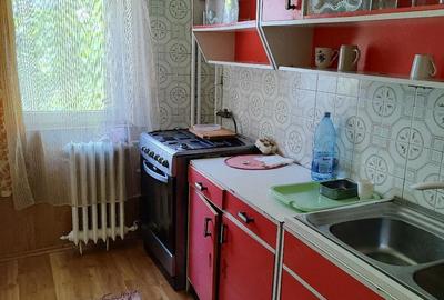 Apartament cu 2 camere semidecomandat în Micălaca - 1