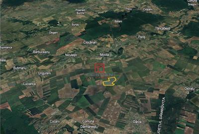 Teren Peris - Crevedia, Ilfov - 3