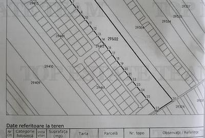 Teren intravilan 28.400 mp - Oportunitate rara in Vasilati, Calarasi! - 4