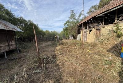 Casa din caramida cu teren 4185 mp in Comuna Manesti - 8