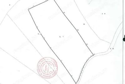 Teren extravilam, loc. Rona de Sus, jud. Maramure?, - 3