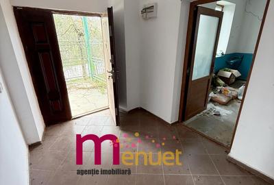 Casă cu 2 camere cu Teren 1167 Mp în Ciucurova - 4