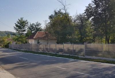 Casă individuală cu 3 camere cu Teren 16000 Mp în Govora - 2