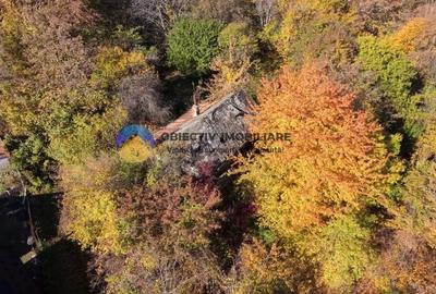 Teren intravilan de vanzare – Piatra Neamt - 8