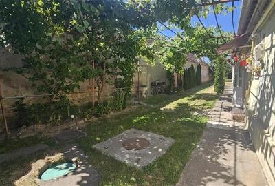 Tur Virtual! Casa  ergonomica,Codlea, Brasov. - 1