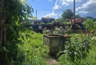 Casă cu 4 camere cu Teren 850 Mp în Coada Malului - 3