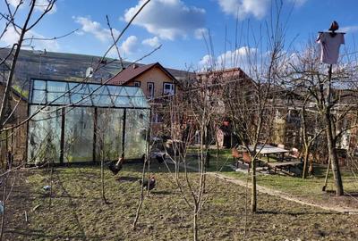 Casă cu 3 camere cu Teren 500 Mp în Zau de Câmpie - 7