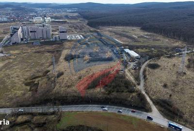 Spațiu comercial, în Calea Sighisoarei - 3