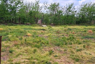 Spațiu comercial, în Țiglina 1 - 3