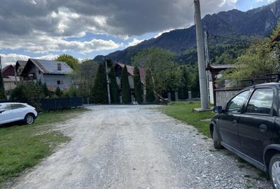 Teren intravilan Poiana Tapului. Tripla deschidere. Vedere l - 10