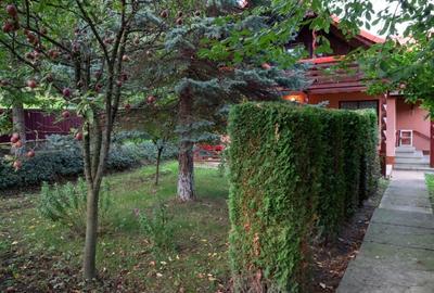 CASA INDIVIDULA CU ETAJ, MOBILATA SI UTILATA, 735 MP TEREN, ACTE LA ZI, SUCEVITA - 5