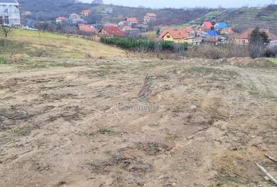 Teren Construcții intravilan de 3133 mp, în Cantemir - 2