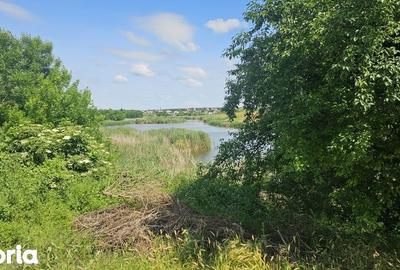 Teren de 300 mp, în Dobroești