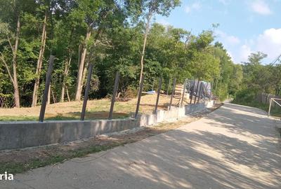 Teren de 1194 mp, în Provița de Jos - 2