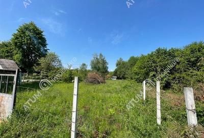 Teren intravilan 4100 mp in Avrig zona Valea Avrigului - 4