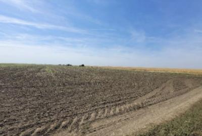 Teren de 14000 mp, în Dudești - 1