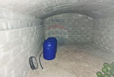 Oaza de liniste: casa cu livada si teren generos - Girov - 33