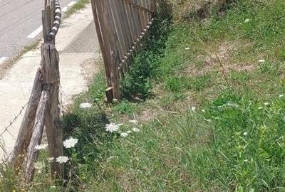 Teren de 2030 mp, în Rădăcinești - 8