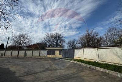 Casa de vanzare cu livada si piscina - Giurgiu - 22