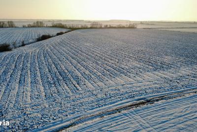 Spațiu comercial, în Chișoda - 3
