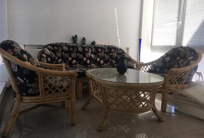 Casa Elisabetin amenajata 400mp 15 camere - 10