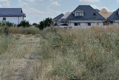 Spațiu comercial, în Bragadiru - 3