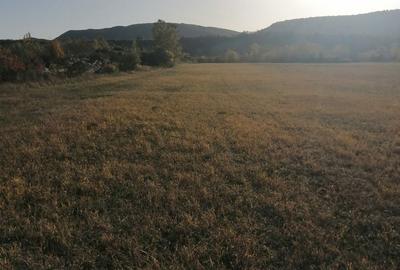 Teren de 3200 mp, în Bănești - 2