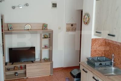 Apartament Decomandat cu 2 Dormitoare, Balcon si Bucatarie Mare - Fieni, 60 mp - 9