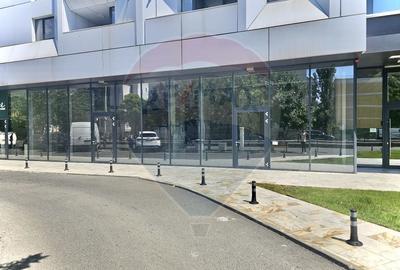 Spatiu comercial de inchiriat in zona Barbu Vacarescu - 8