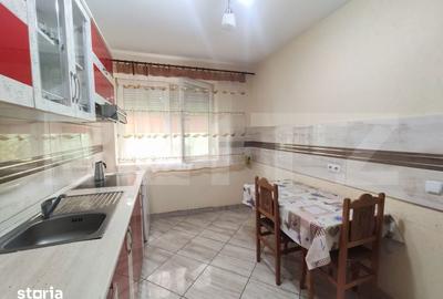 Casă cu 3 camere cu Teren 24000 Mp în Micula - 11
